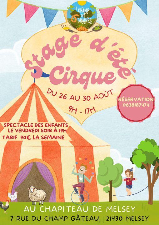 202408 affiche stage cirque